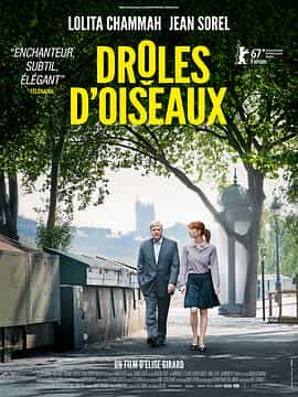 电影《怪趣群鸟  Drôles d'oiseaux》（2017法国）--高清4K/1080P迅雷BT资源下载