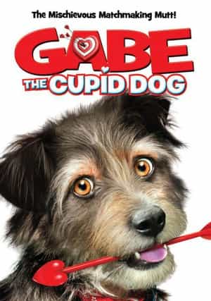 电影《狗狗爱神  Gabe the Cupid Dog》（2012美国）--高清4K/1080P迅雷BT资源下载