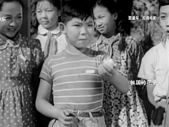 电影《祖国的花朵》（1955中国）--高清4K/1080P迅雷BT资源下载