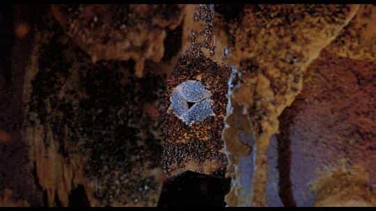电影《变异蜂王  The Bees》（1978墨西哥 / 美国）--高清4K/1080P迅雷BT资源下载