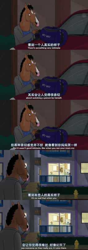 动漫剧《马男波杰克 第三季  BoJack Horseman》（2016美国）--高清4K/1080P迅雷BT资源下载