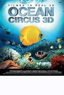 电影《海洋马戏团  Ocean Circus 3D: Underwater Around the World》（2012德国）--高清4K/1080P迅雷BT资源下载