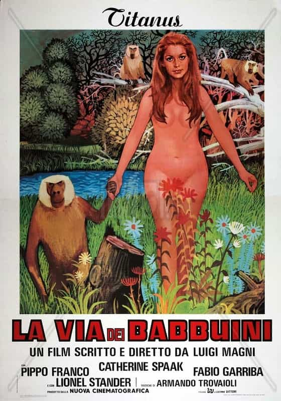 电影《狒狒的方式  La via dei babbuini》（1974意大利）--高清4K/1080P迅雷BT资源下载