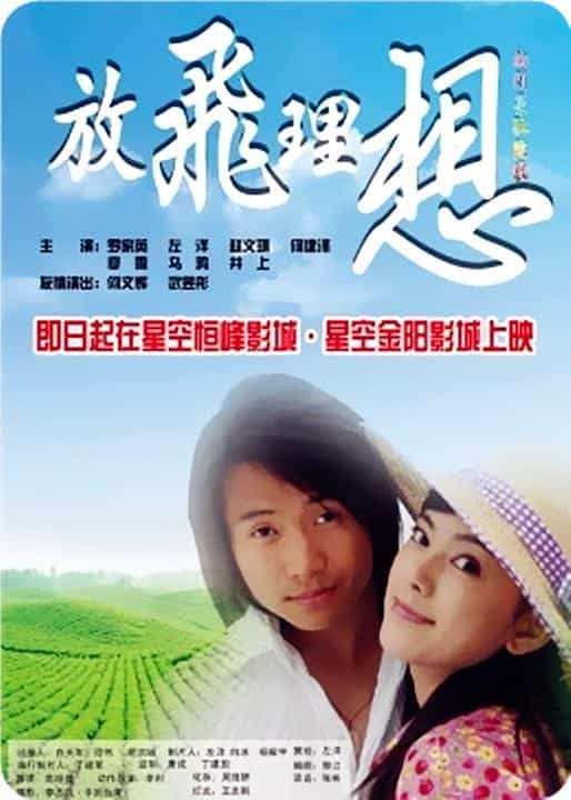 电影《放飞理想》（2008中国大陆）--高清4K/1080P迅雷BT资源下载