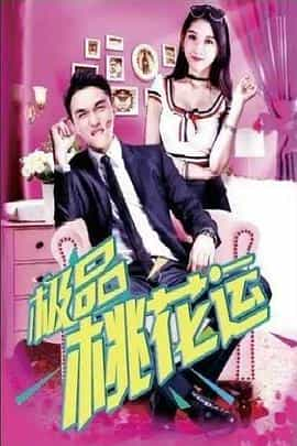 电影《极品桃花运》（2017中国大陆）--高清4K/1080P迅雷BT资源下载