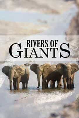 纪录片《巨河  Rivers of Giants》（2005南非）--高清4K/1080P迅雷BT资源下载