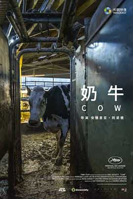 纪录片《奶牛  Cow》（2021英国）--高清4K/1080P迅雷BT资源下载