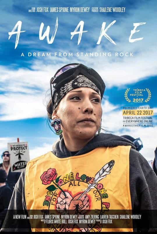 纪录片《Awake, a Dream from Standing Rock》（2017美国）--高清4K/1080P迅雷BT资源下载