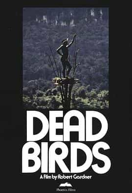 纪录片《死鸟  Dead Birds》（1963美国）--高清4K/1080P迅雷BT资源下载