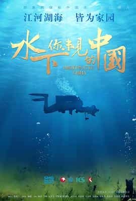 电视剧《水下·你未见的中国》（2019中国大陆）--高清4K/1080P迅雷BT资源下载