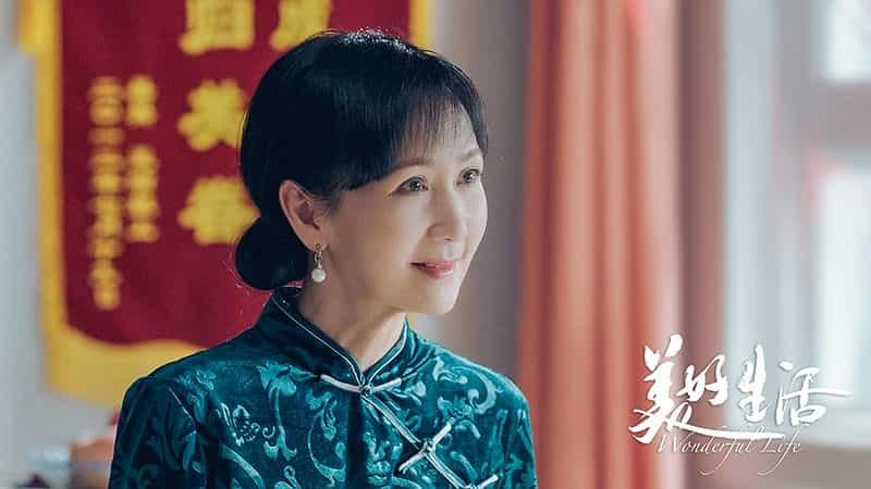 电视剧《美好生活》（2018中国大陆）--高清4K/1080P迅雷BT资源下载