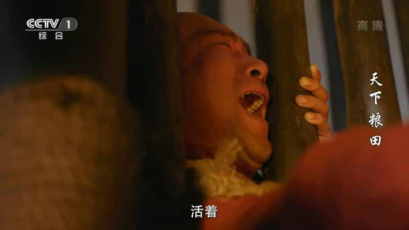 电视剧《天下粮田》（2017中国大陆）--高清4K/1080P迅雷BT资源下载