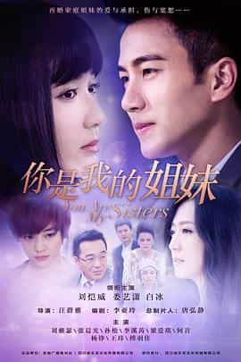 电视剧《你是我的姐妹》（2015中国大陆）--高清4K/1080P迅雷BT资源下载