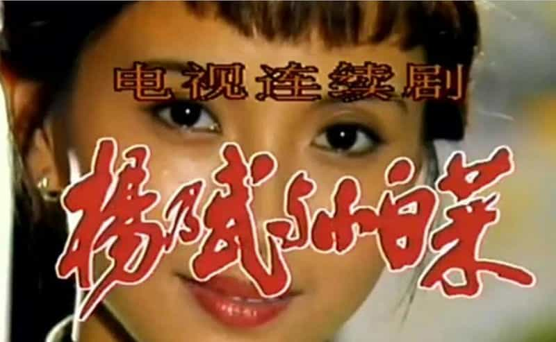 电视剧《杨乃武与小白菜》（1990中国大陆）--高清4K/1080P迅雷BT资源下载