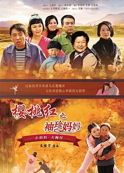 电视剧《樱桃红之袖珍妈妈》（2014中国大陆）--高清4K/1080P迅雷BT资源下载