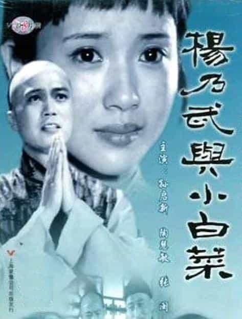 电视剧《杨乃武与小白菜》（1990中国大陆）--高清4K/1080P迅雷BT资源下载