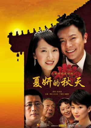 电视剧《夏妍的秋天》（2011中国大陆）--高清4K/1080P迅雷BT资源下载