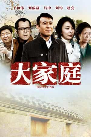 电视剧《大家庭》（2012中国大陆）--高清4K/1080P迅雷BT资源下载