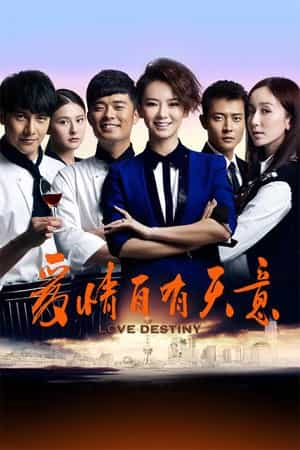 电视剧《爱情自有天意》（2013中国大陆）--高清4K/1080P迅雷BT资源下载