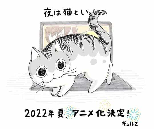 电视剧《关于养猫我一直是新手  夜は猫といっしょ》（2022日本）--高清4K/1080P迅雷BT资源下载