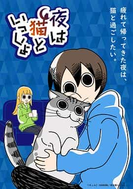 电视剧《关于养猫我一直是新手  夜は猫といっしょ》（2022日本）--高清4K/1080P迅雷BT资源下载