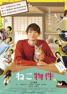 电视剧《猫物件  ねこ物件》（2022日本）--高清4K/1080P迅雷BT资源下载