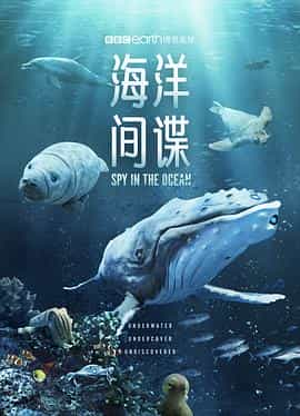 电视剧《海洋间谍  Spy in the Ocean》（2023英国）--高清4K/1080P迅雷BT资源下载