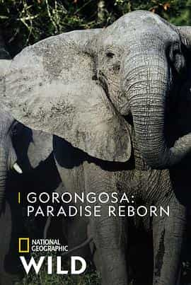 电视剧《Gorongosa: Paradise Reborn》（2022美国）--高清4K/1080P迅雷BT资源下载