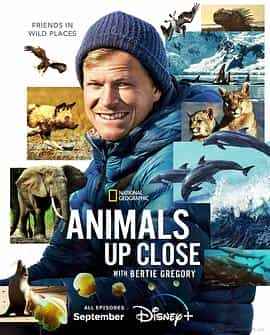 电视剧《贝尔蒂·格雷戈里：与动物零距离  Animals Up Close with Bertie Gregory》（2023英国）--高清4K/1080P迅雷BT资源下载