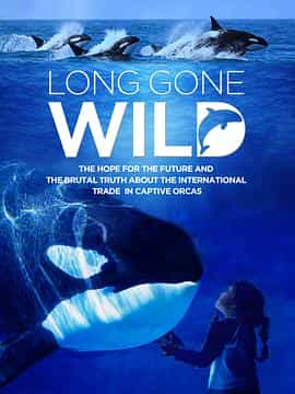 纪录片《Long Gone Wild》（2019美国）--高清4K/1080P迅雷BT资源下载