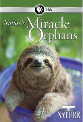 纪录片《了不起的动物遗孤  nature's miracle orphans》（2015英国）--高清4K/1080P迅雷BT资源下载