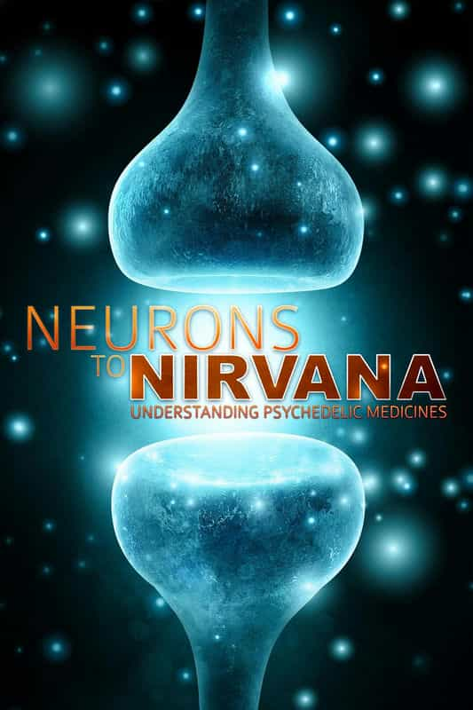 纪录片《从神经元到极乐世界：伟大的药物  From Neurons to Nirvana: The Great Medicines》（2013加拿大 Canada/英国/美国/瑞士 Switzerland）--高清4K/1080P迅雷BT资源下载