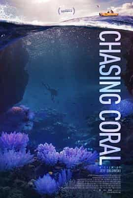 纪录片《追逐珊瑚  Chasing Coral》（2017美国）--高清4K/1080P迅雷BT资源下载