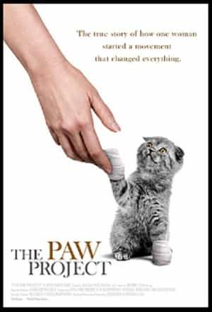 纪录片《爪子计划  The Paw Project》（2013美国）--高清4K/1080P迅雷BT资源下载