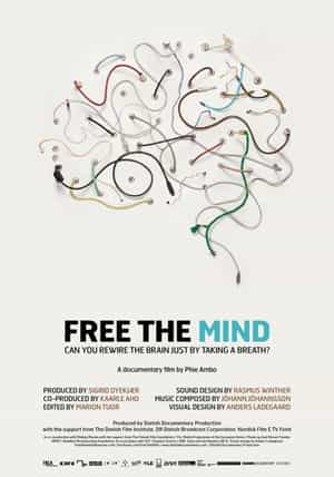 纪录片《解放心灵  Free the Mind》（2011瑞典 / 荷兰 / 澳大利亚 / 芬兰 / 丹麦）--高清4K/1080P迅雷BT资源下载