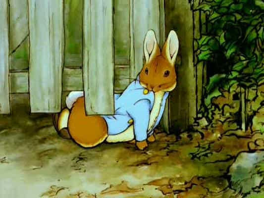 动漫剧《彼得兔和朋友们的世界  The World of Peter Rabbit and Friends》（1992英国）--高清4K/1080P迅雷BT资源下载