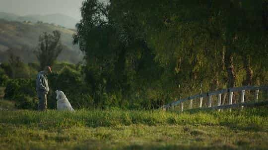 纪录片《最大的小小农场  The Biggest Little Farm》（2018美国）--高清4K/1080P迅雷BT资源下载