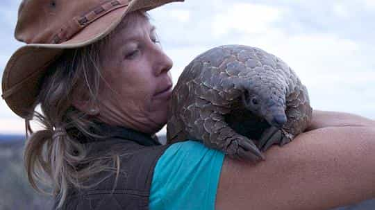 纪录片《穿山甲：被捕杀最多的动物  Pangolins: The World's Most Wanted Animal》（2018英国）--高清4K/1080P迅雷BT资源下载