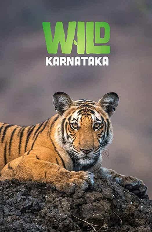 纪录片《野性印度卡纳塔克邦  Wild Karnataka》（2019印度）--高清4K/1080P迅雷BT资源下载