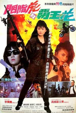 电影《杀手天使  殺手天使》（1989中国香港）--高清4K/1080P迅雷BT资源下载