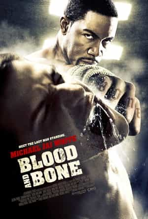 电影《血与骨  Blood and Bone》（2009美国）--高清4K/1080P迅雷BT资源下载