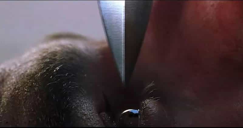电影《碟中谍2 Mission: Impossible II》(2000美国 / 德国)--高清4K/1080P迅雷BT资源下载 电影《碟中谍2 Mission: Impossible II》(2000美国 / 德国)--高清4K/1080P迅雷BT资源下载