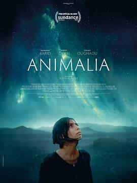 电影《动物界  Animalia》（2023法国）--高清4K/1080P迅雷BT资源下载