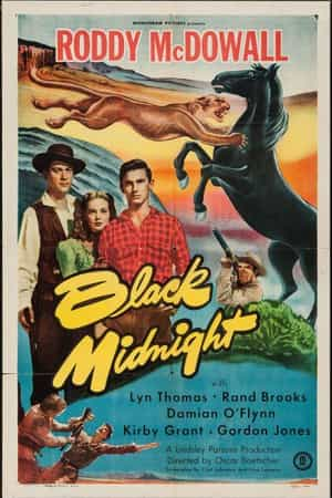 电影《黑色午夜  Black Midnight》（1949美国）--高清4K/1080P迅雷BT资源下载