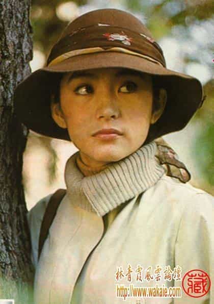 电影《一片深情》（1979中国台湾）--高清4K/1080P迅雷BT资源下载