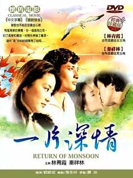 电影《一片深情》（1979中国台湾）--高清4K/1080P迅雷BT资源下载