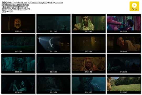 电影《失落的灵魂墓地  O Cemitério das Almas Perdidas》（2020巴西）--高清4K/1080P迅雷BT资源下载