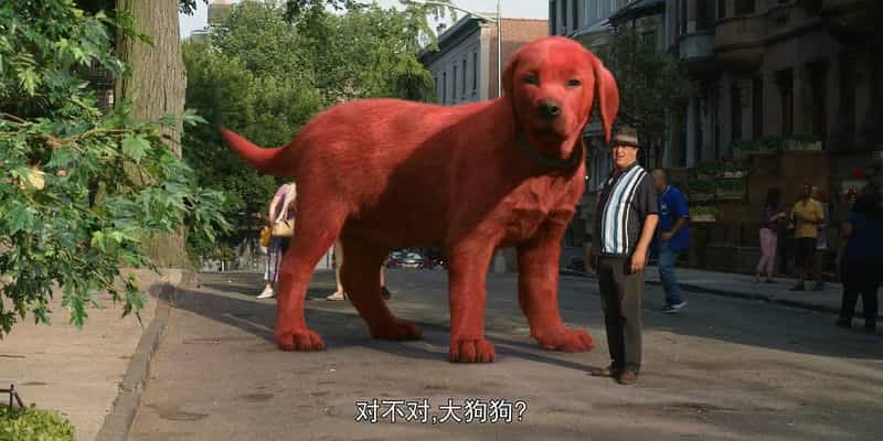 动漫《大红狗克里弗  Clifford the Big Red Dog》（2021英国 / 加拿大 / 美国）--高清4K/1080P迅雷BT资源下载