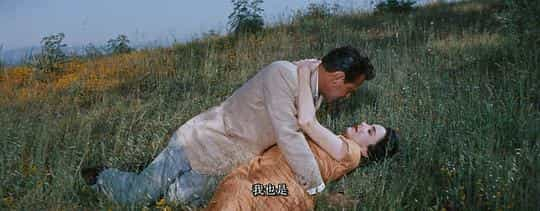 电影《生死恋  Love Is a Many-Splendored Thing》（1955美国）--高清4K/1080P迅雷BT资源下载