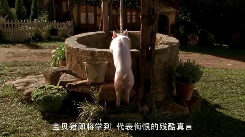 电影《小猪宝贝2：小猪进城  Babe: Pig in the City》（1998澳大利亚）--高清4K/1080P迅雷BT资源下载